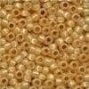 Seed Beads - Size 8