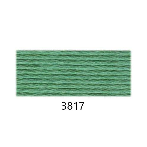 Embroidery Floss: Solid Colours Group 6 (3800s)