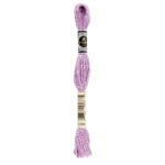 Embroidery Floss: Etoile (C Numbers)