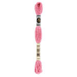 Embroidery Floss: Etoile (C Numbers)