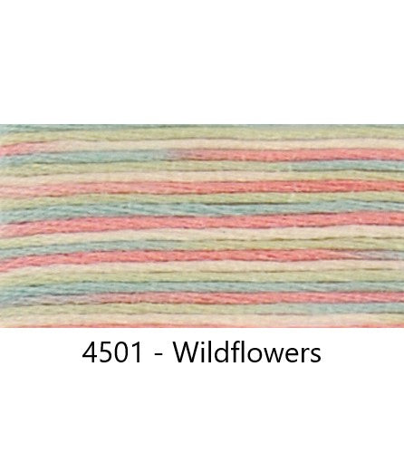 Embroidery Floss: Variegated Colours Group 3 (4500s) - Coloris