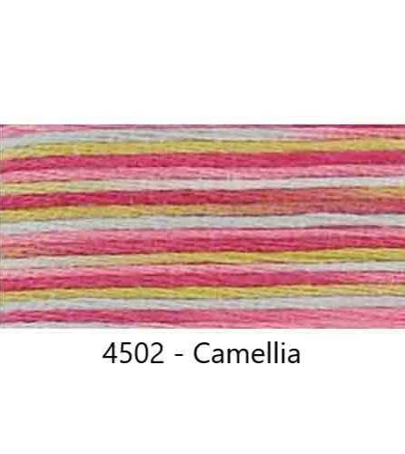 Embroidery Floss: Variegated Colours Group 3 (4500s) - Coloris