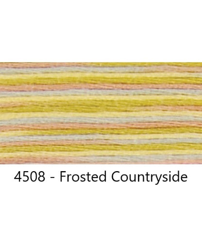Embroidery Floss: Variegated Colours Group 3 (4500s) - Coloris