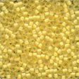 Seed Beads - Size 11 (60000 Series - Frosted Finish)