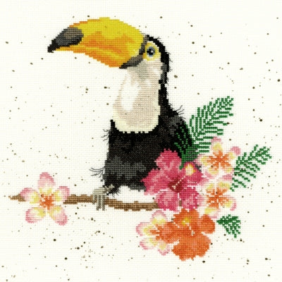 Toucan Of My Affection