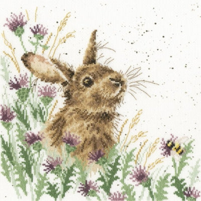 Meadow