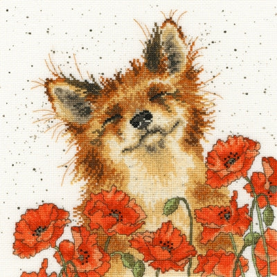 Poppy Field