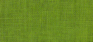 Chartreuse 2203 - Hand Dyed Linen - 30 count