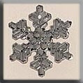 12037 - Medium Snowflake