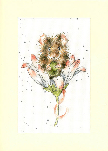 Wishes Just For You - Greeting Card Kit