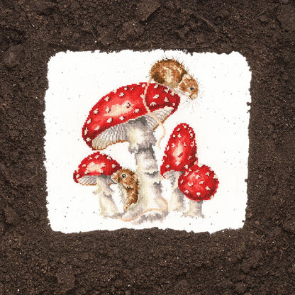 Fairy Ring