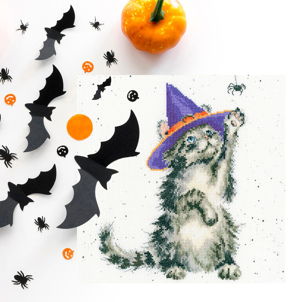The Witch's Cat