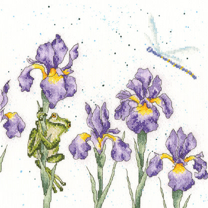 Damsels And Dragons