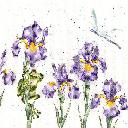 Damsels And Dragons