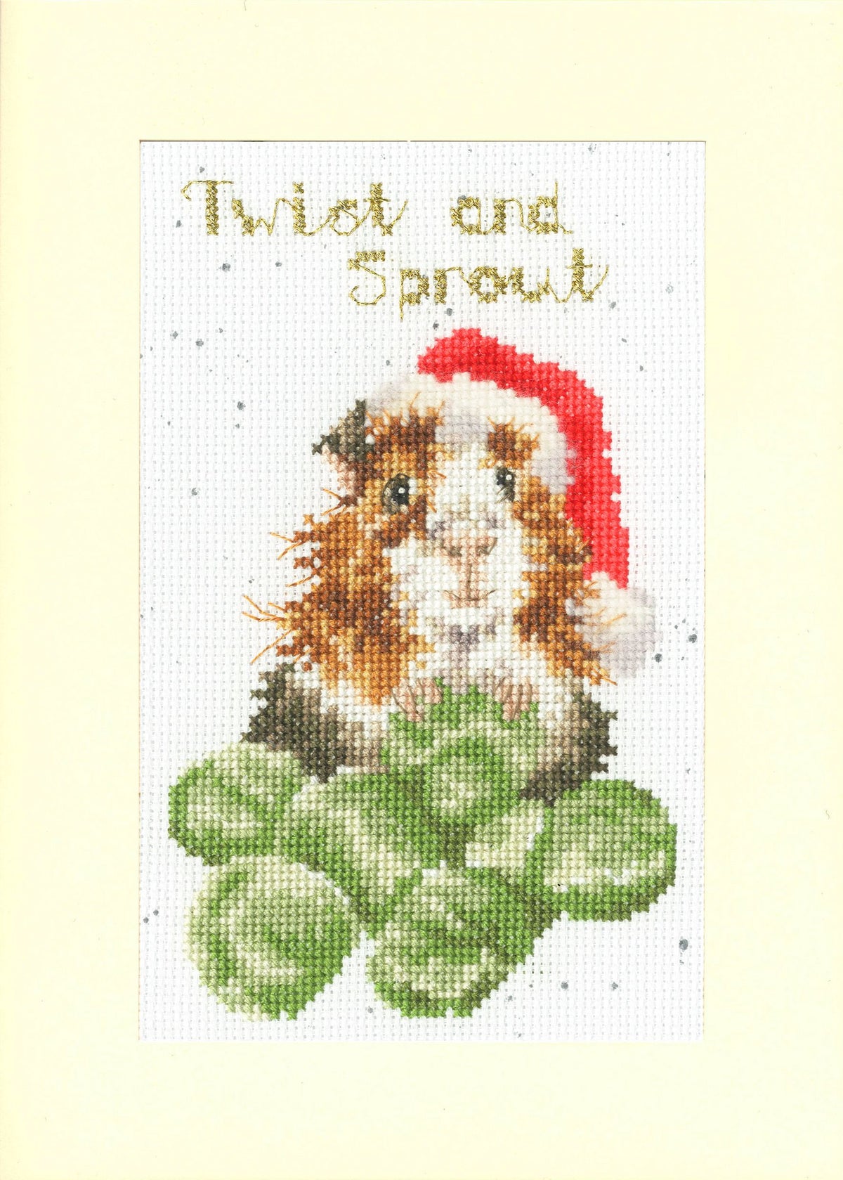 Twist And Sprout - Greeting Card Kit