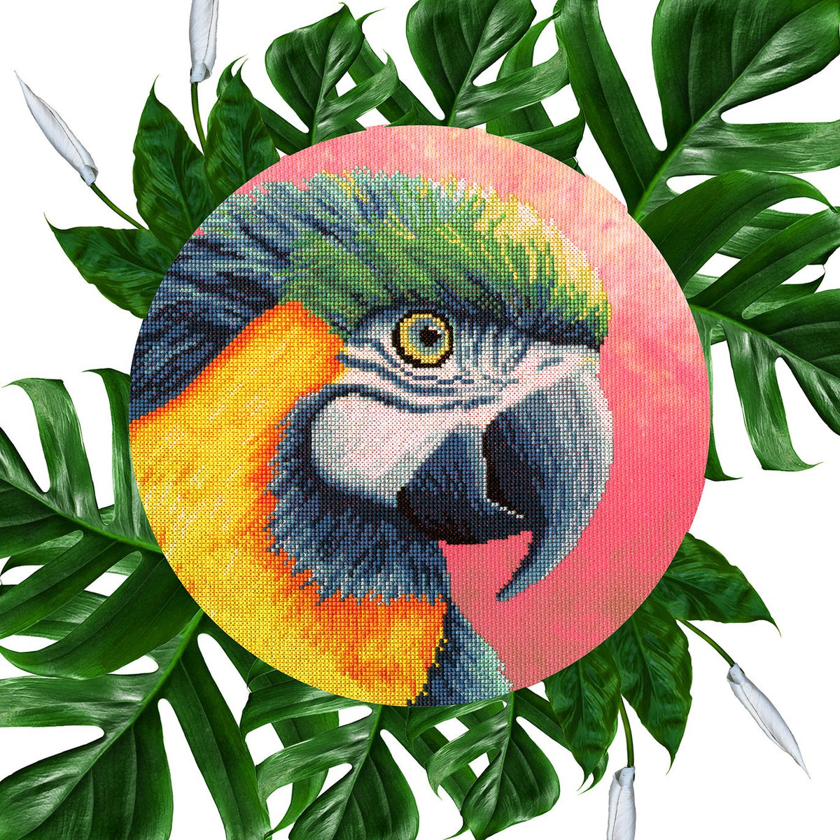 Paradise: The Menagerie Series (Parrot)